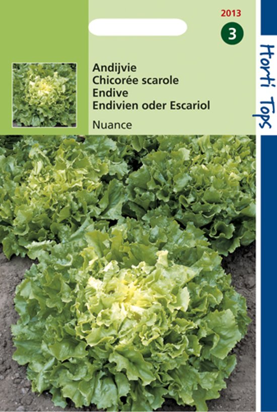 Andijvie Nuance (Cichorium) 600 zaden